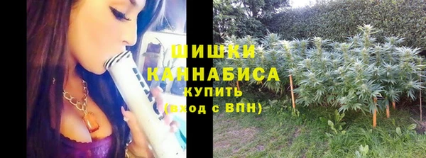 ГАЛЛЮЦИНОГЕННЫЕ ГРИБЫ Армянск